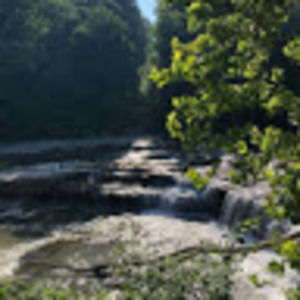 Meet your Posher, Josie